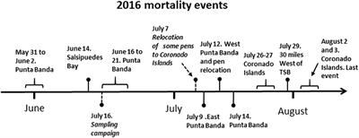 <mark class="highlighted">Mass Mortality</mark> of Cultivated Northern Bluefin Tuna Thunnus thynnus orientalis Associated With Chattonella Species in Baja California, Mexico